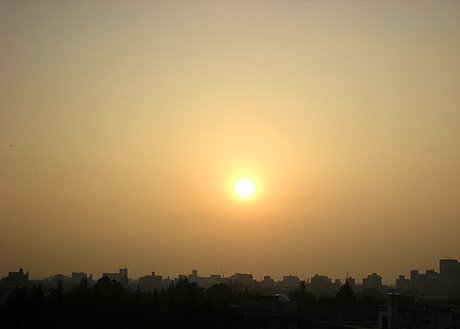 a0001354_21345846.jpg