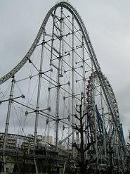 f0139963_23455761.jpg