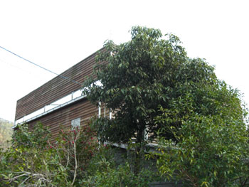 a0086067_23445832.jpg