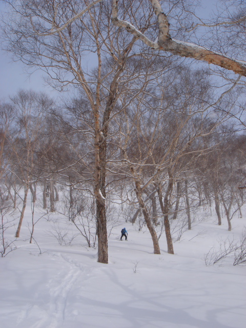 c0006767_21351876.jpg