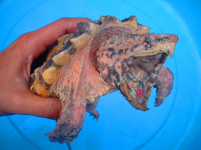c0105569_11045.jpg