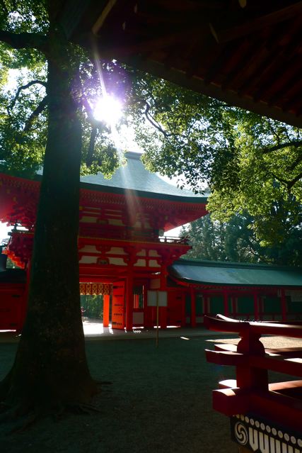 2009_a0093778_0142213.jpg