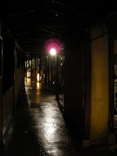 c0102085_225433.jpg