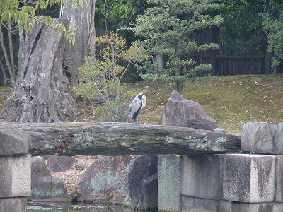 c0105785_98348.jpg