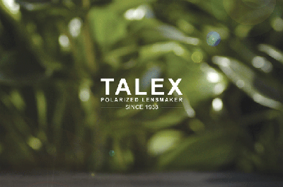 Mercedes-Benz×TALEX_c0003493_21392847.gif