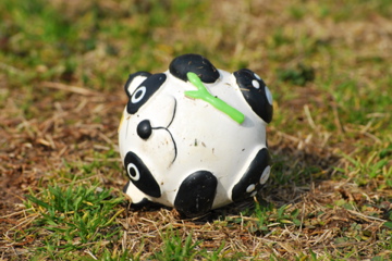 f0136098_16491241.jpg