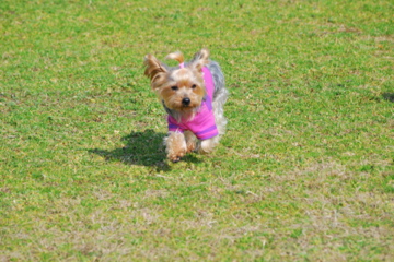 f0136098_17154622.jpg
