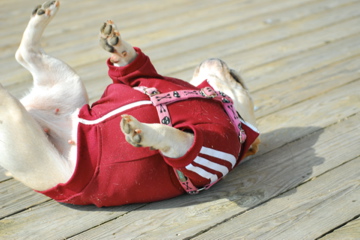 f0136098_1732174.jpg