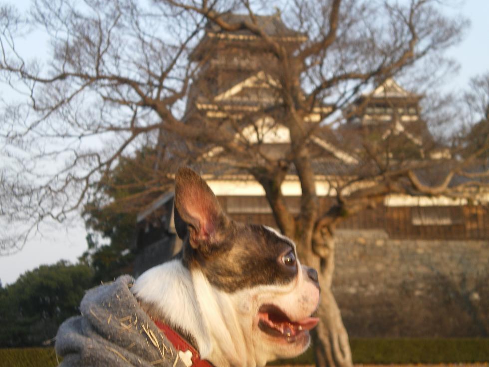 熊本にて 宿の？写真追加しました♪_c0141900_2222366.jpg