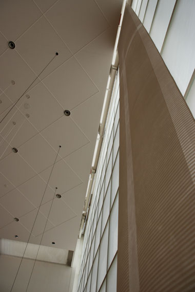 c0184800_10392443.jpg