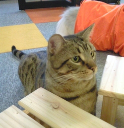 c0181601_30625.jpg
