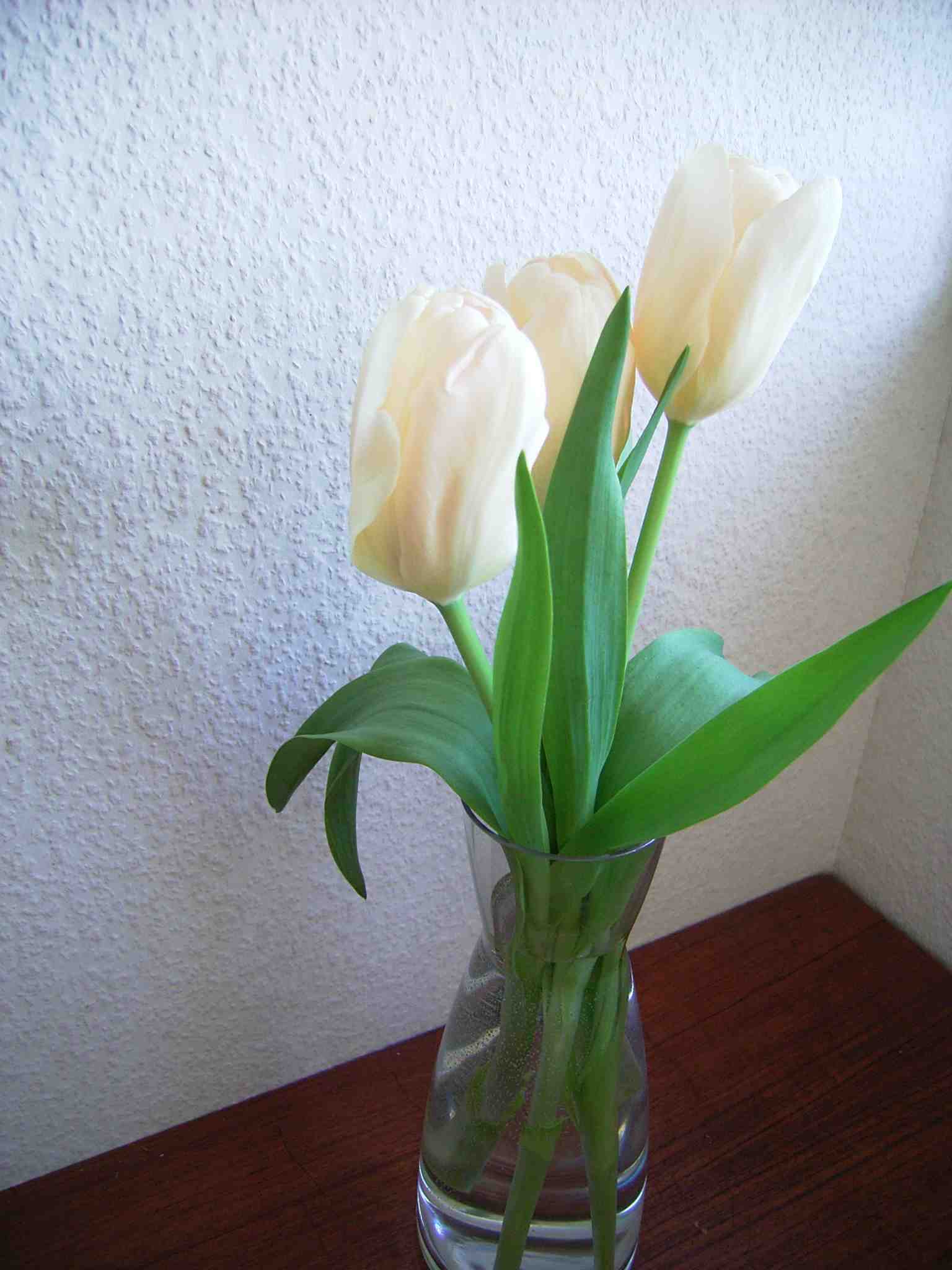a0116902_17125995.jpg