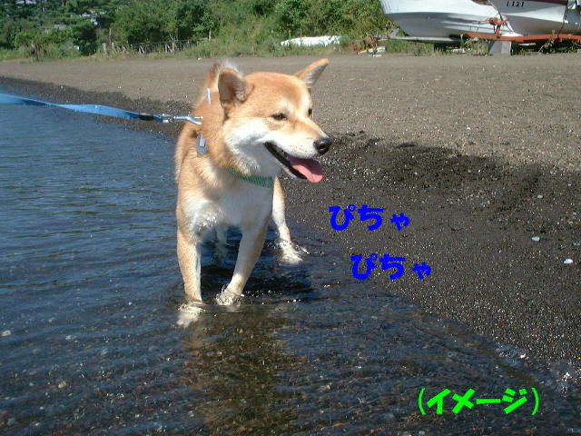 e0131506_0343861.jpg