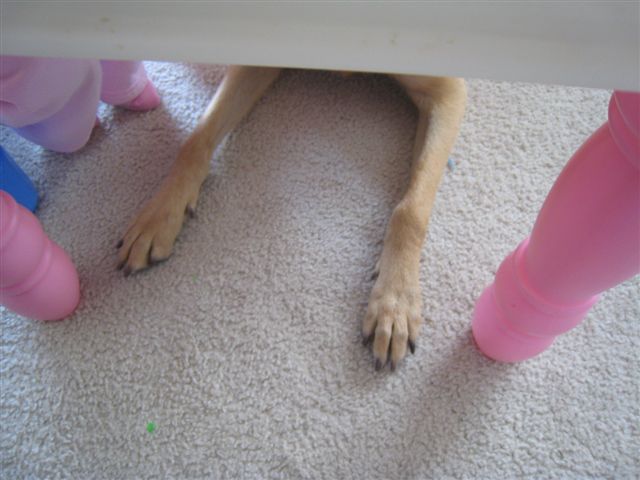 c0079011_3132260.jpg