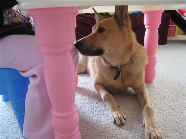 c0079011_3135030.jpg