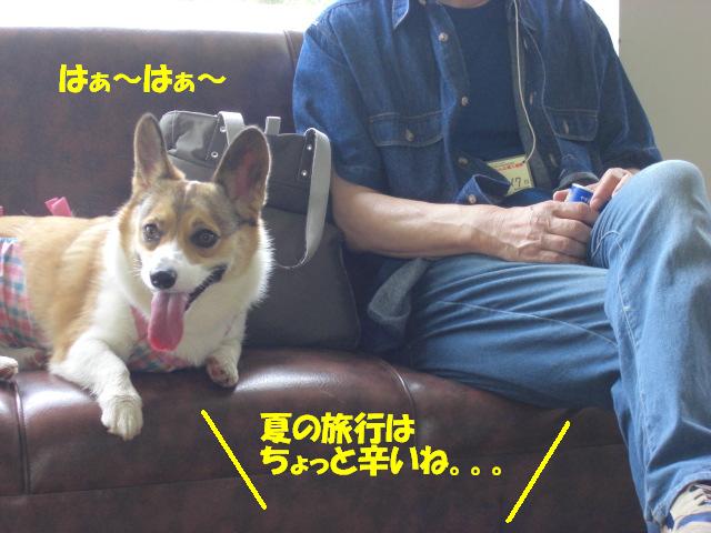 f0182121_1540454.jpg