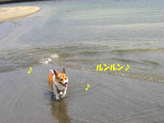 f0182121_1543425.jpg