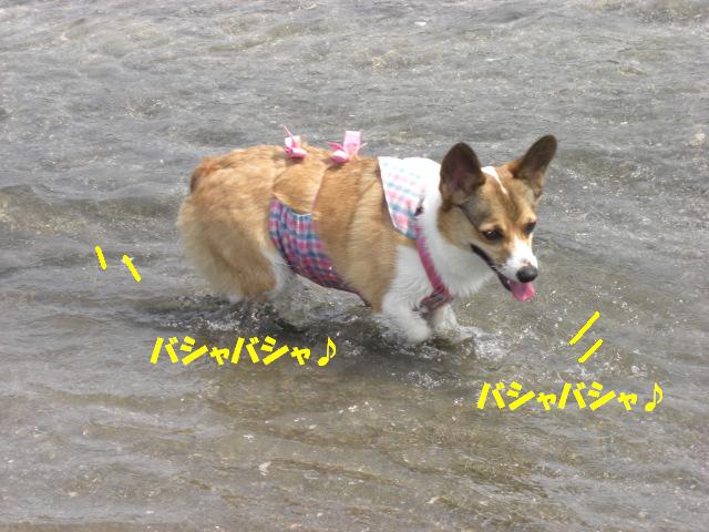 f0182121_15435898.jpg