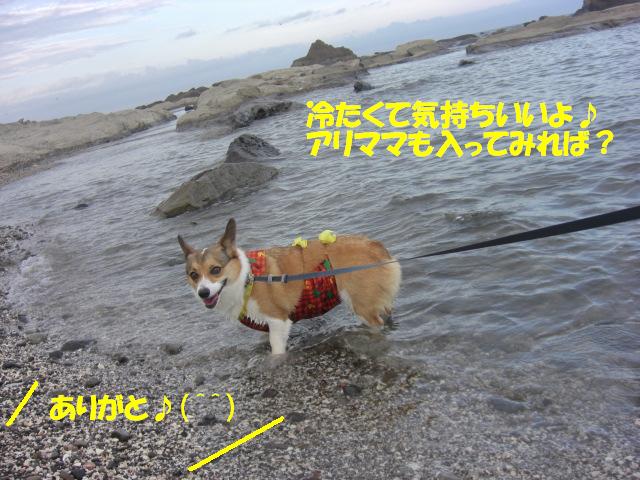f0182121_15535010.jpg