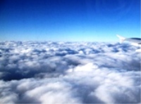 c0133422_1195859.jpg