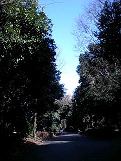 b0102023_2004140.jpg