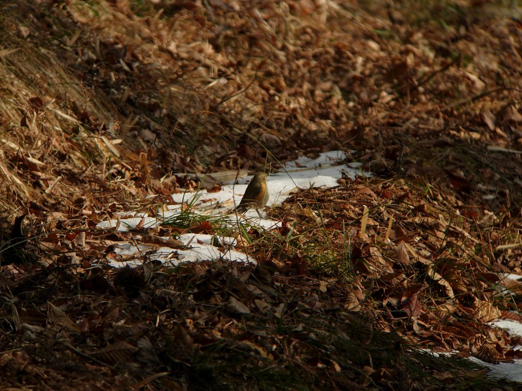 f0148627_2154113.jpg