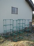 f0167635_8551262.jpg