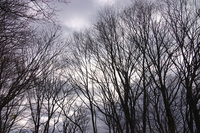 c0067040_21595067.jpg