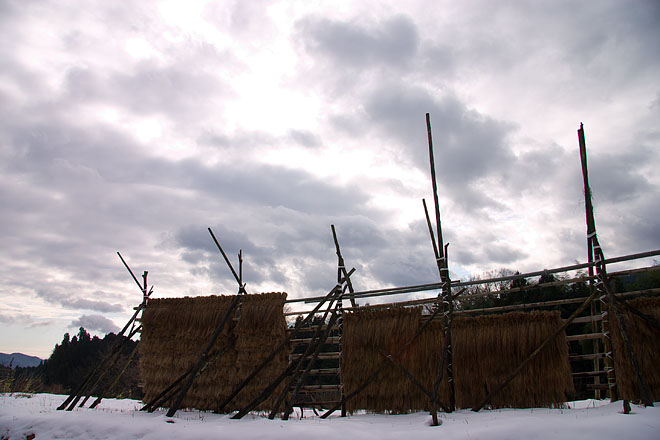 c0067040_22101499.jpg