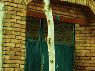 c0164345_8144232.jpg