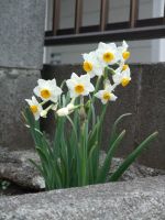 それぞれの秘密(ありふれた奇跡)_e0080345_7504542.jpg