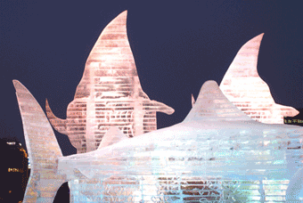 a0112747_18304631.gif