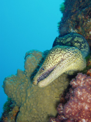 d0058549_1713527.jpg