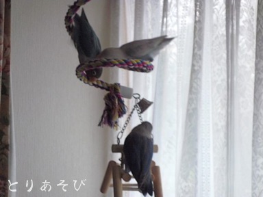 小さな恋のメロディ_e0147757_20174378.jpg