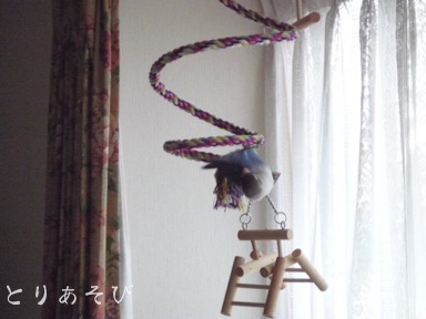 小さな恋のメロディ_e0147757_20221388.jpg