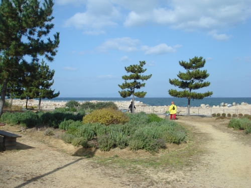c0108460_19363658.jpg