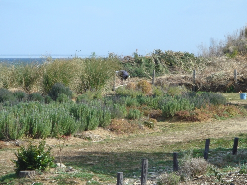 c0108460_19371681.jpg