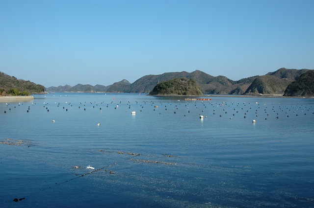 b0104861_1728510.jpg