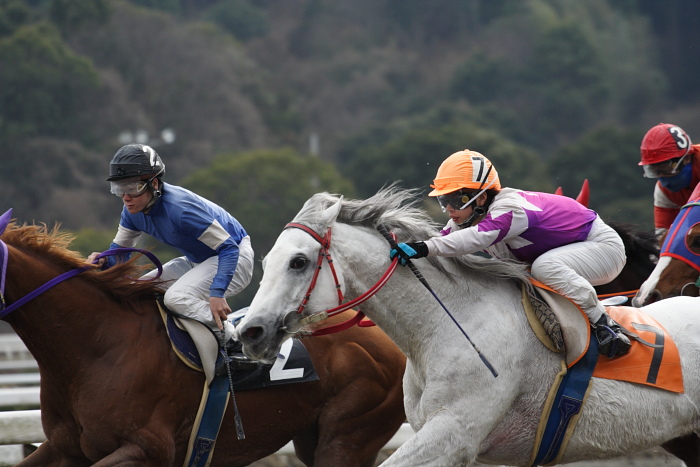 2009年1月31日（土） 高知競馬 8R 荒田春良誕生月特別_a0077663_8132232.jpg