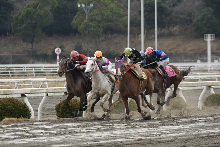 2009年1月31日（土） 高知競馬 8R 荒田春良誕生月特別_a0077663_8134864.jpg