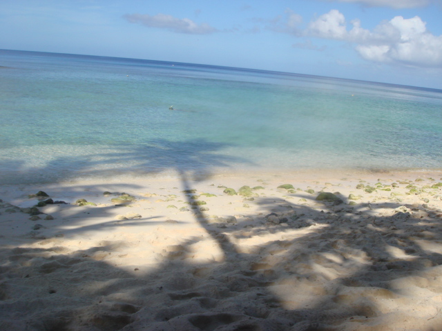 f0193680_19255294.jpg