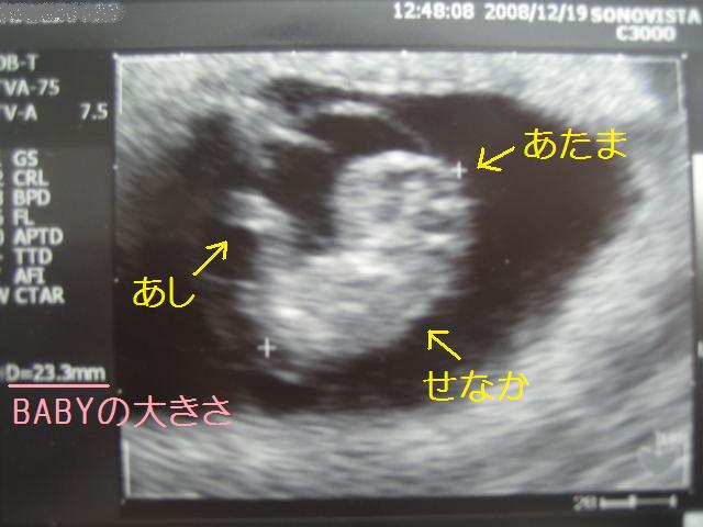 e0142283_2152795.jpg