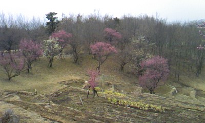 f0189490_04374.jpg