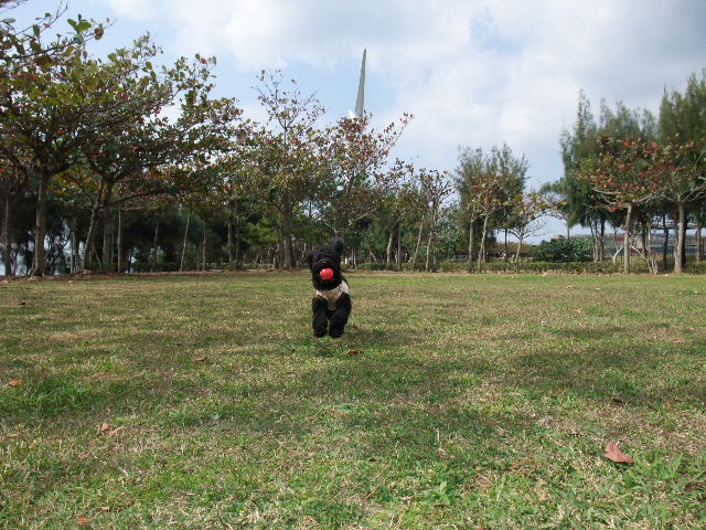 a0118493_15155349.jpg
