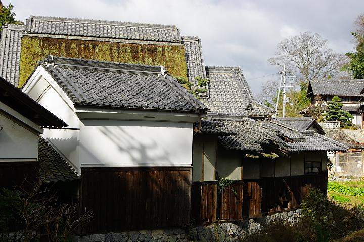 d0069495_22132594.jpg