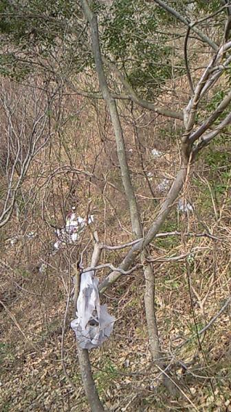 f0098002_1745563.jpg