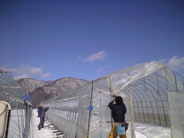 ハウスかけ_d0099708_12432116.jpg