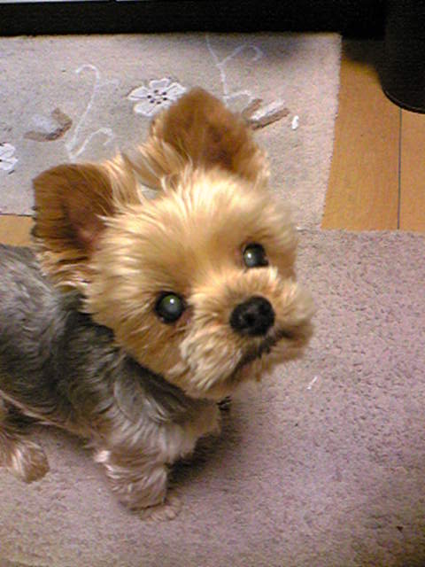 c0109109_0125452.jpg