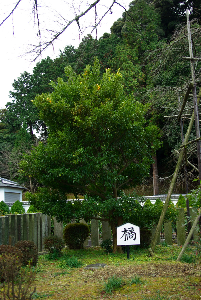 e0142611_176543.jpg