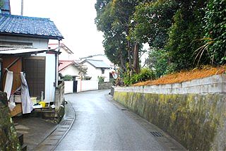 こんなん、誰か知りたいか・・・?(笑)_c0116714_2244291.jpg
